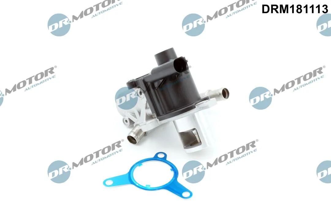 EGR Valve